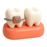 Contact Ortho Department
